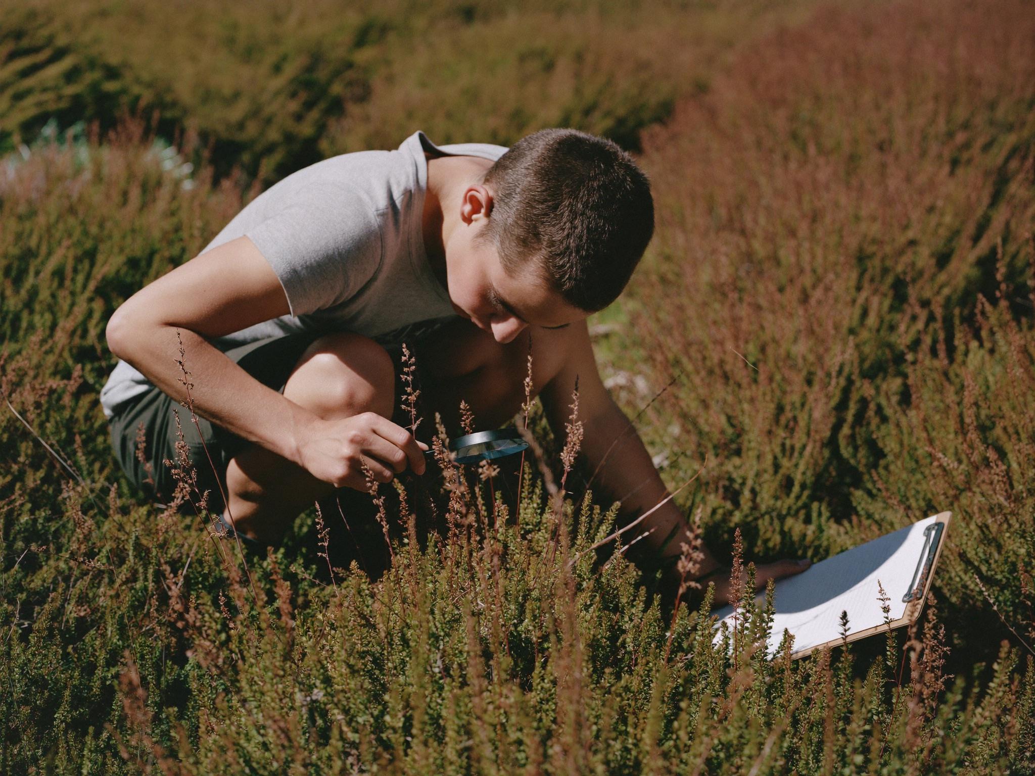 Ecosystem survey